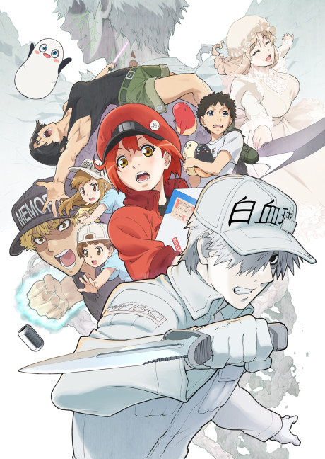 Hataraku Saibou (Dub)